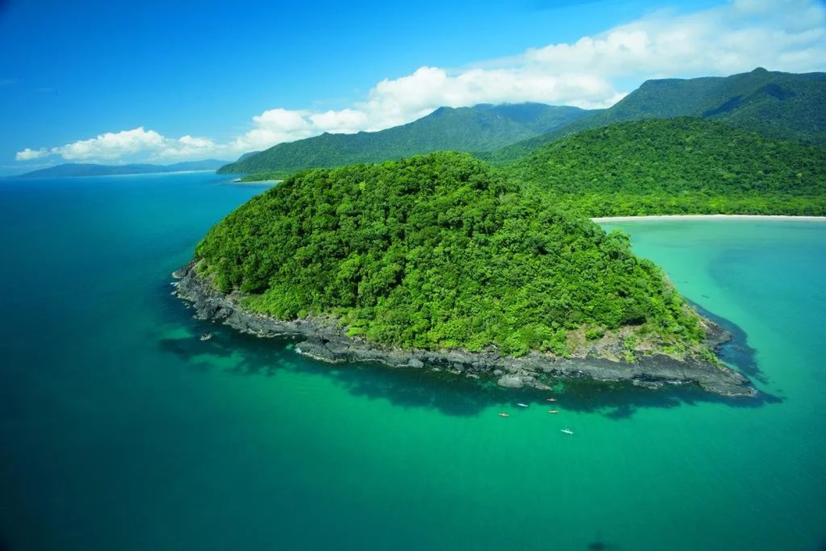 Black Palm Cape Tribulation