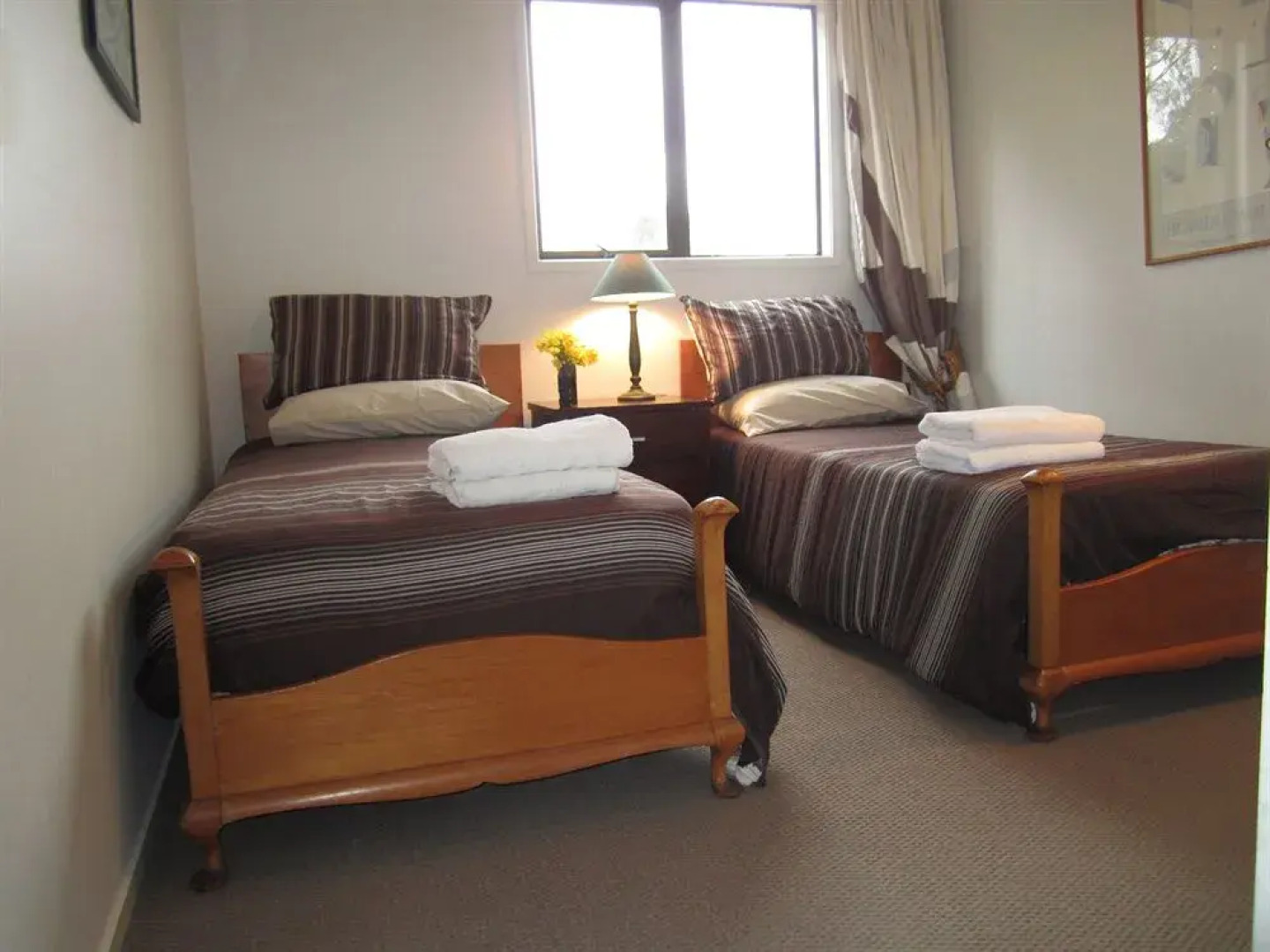 Dancing Trees Auckland