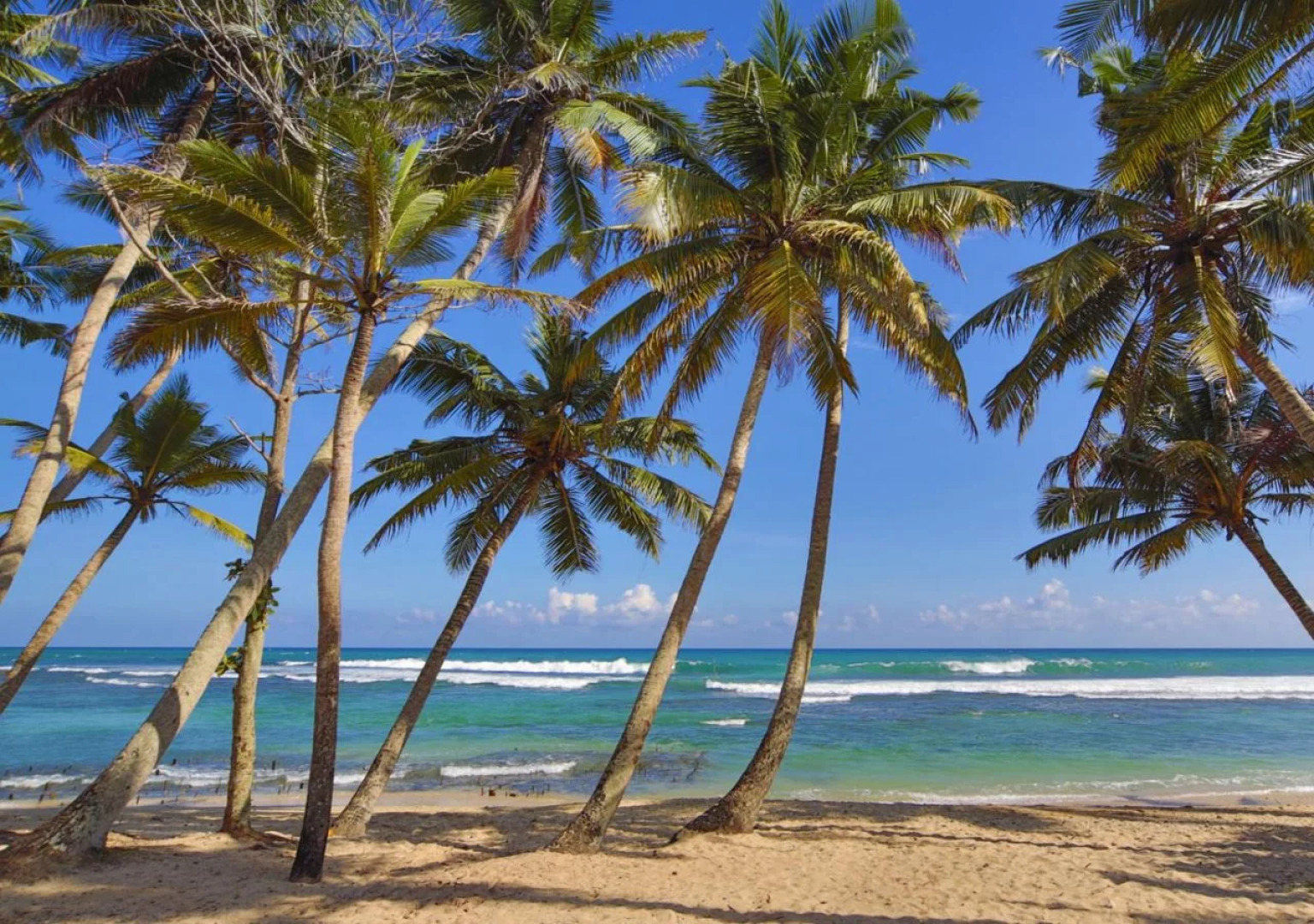 Rebirth Beach Resort