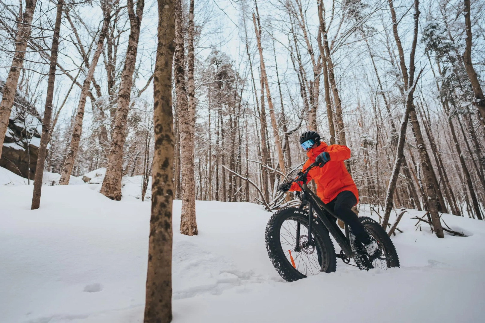 Chalet Refuge 112 - Citq 242292