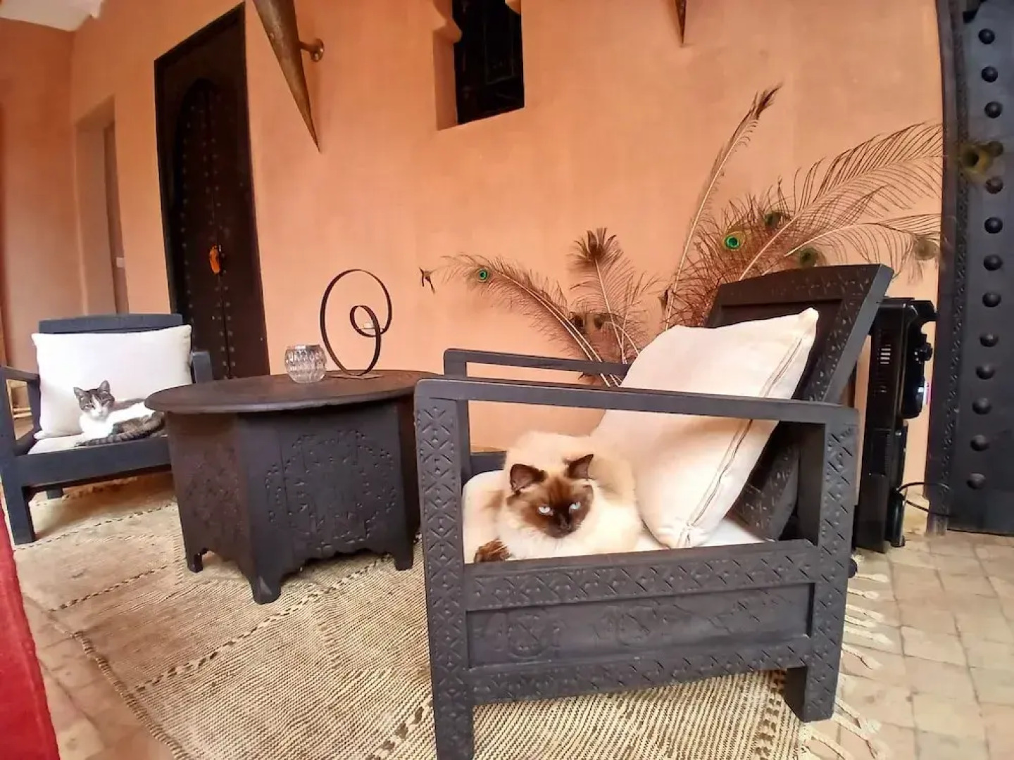 Riad Jardin des Orangers