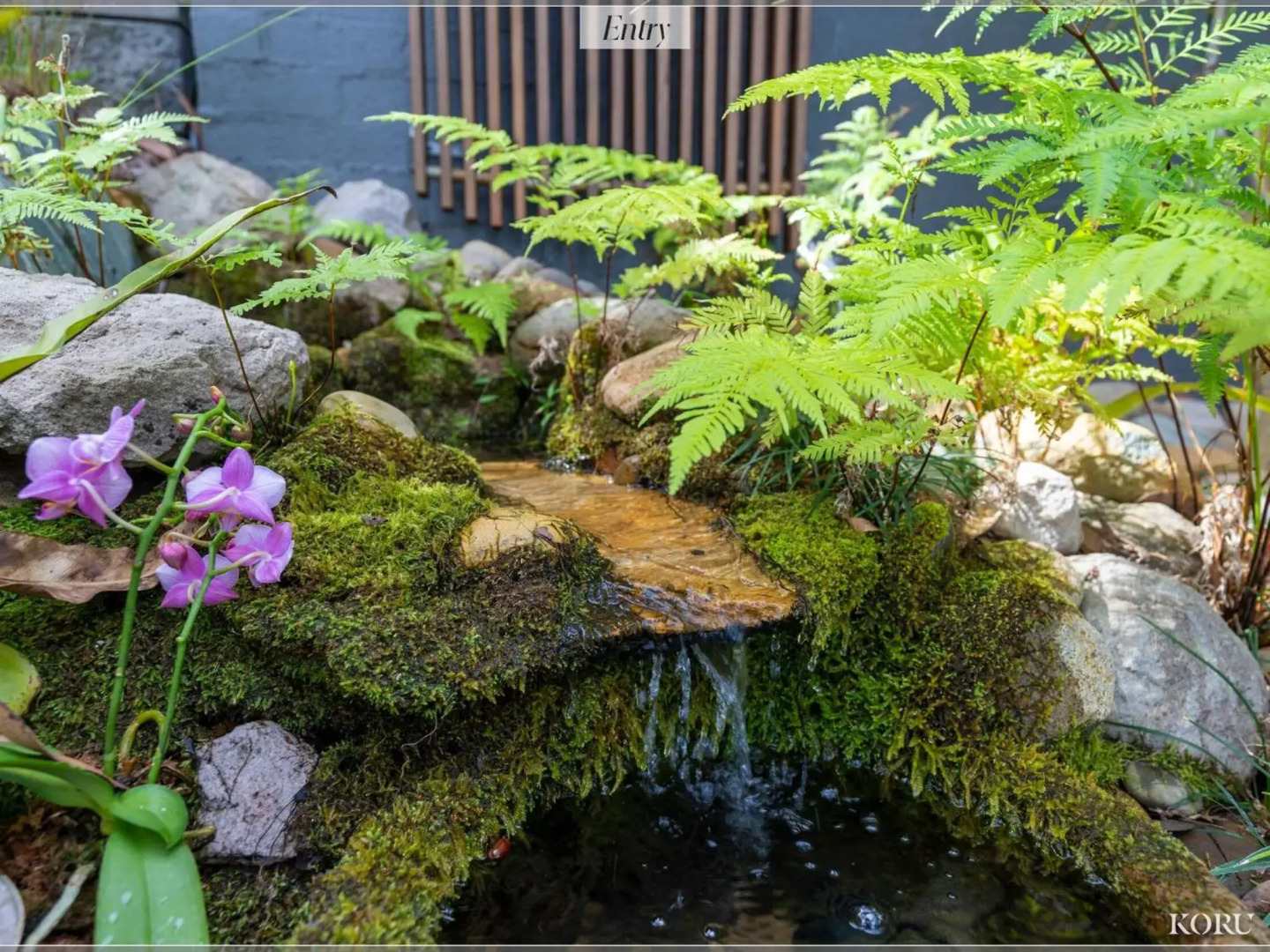 Koru at Hyams 4pm Check Out Sundays