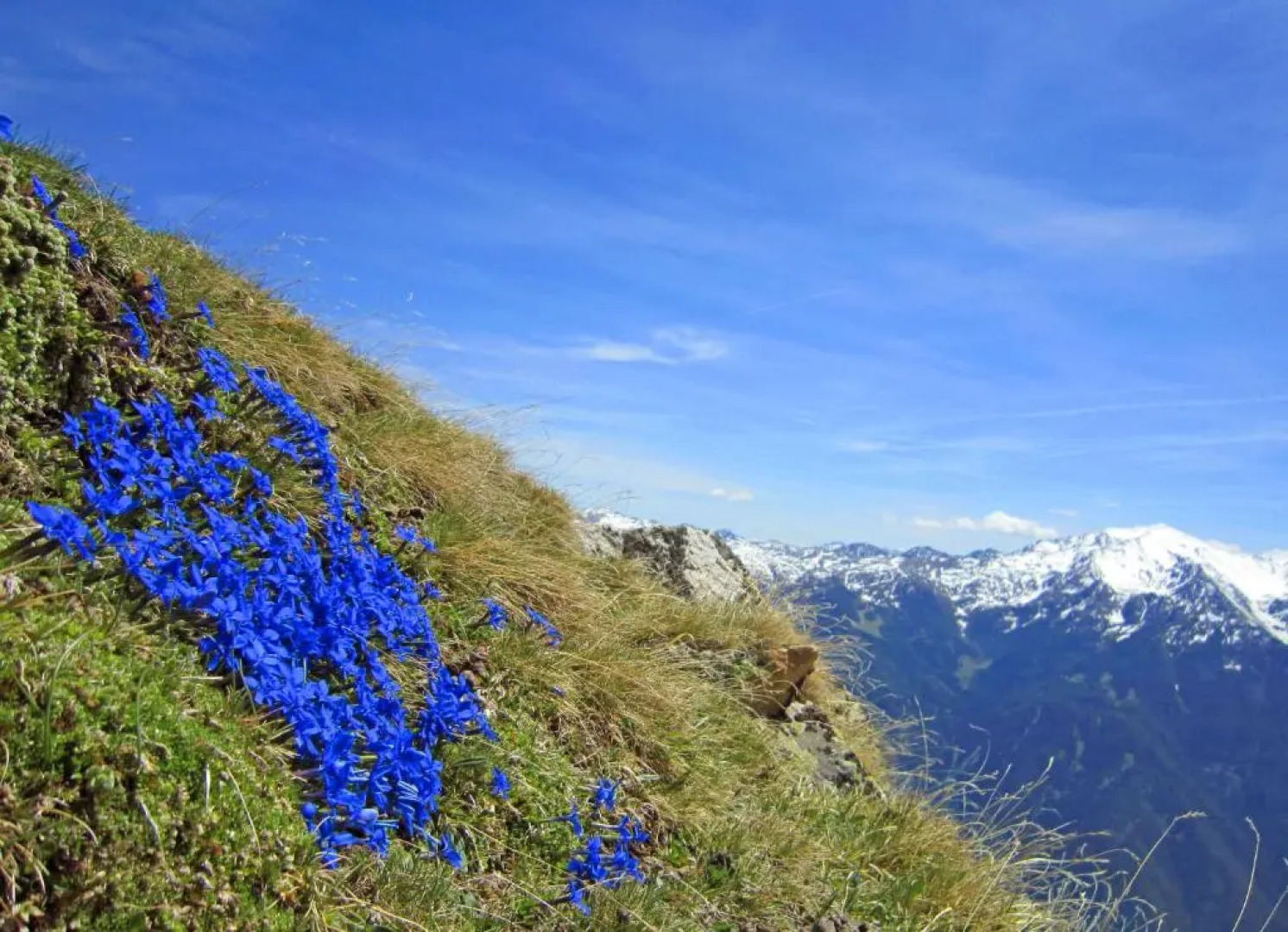 Appartment Mühlrast