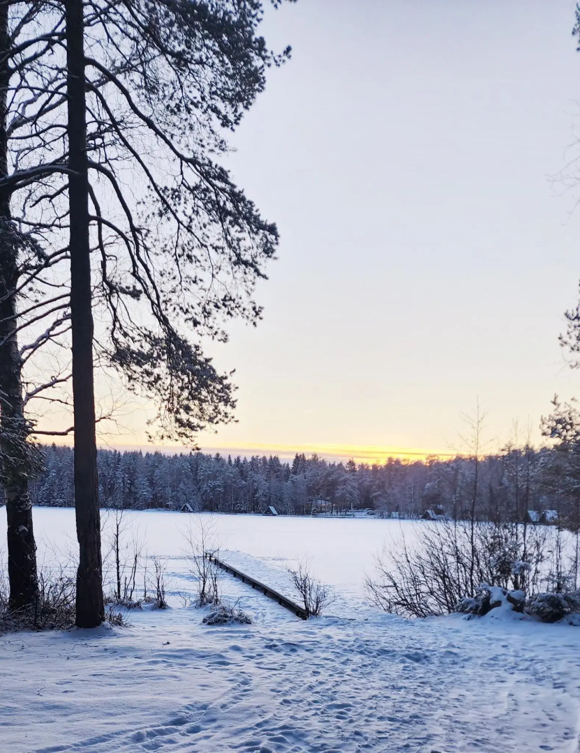 Уютная Орхидея