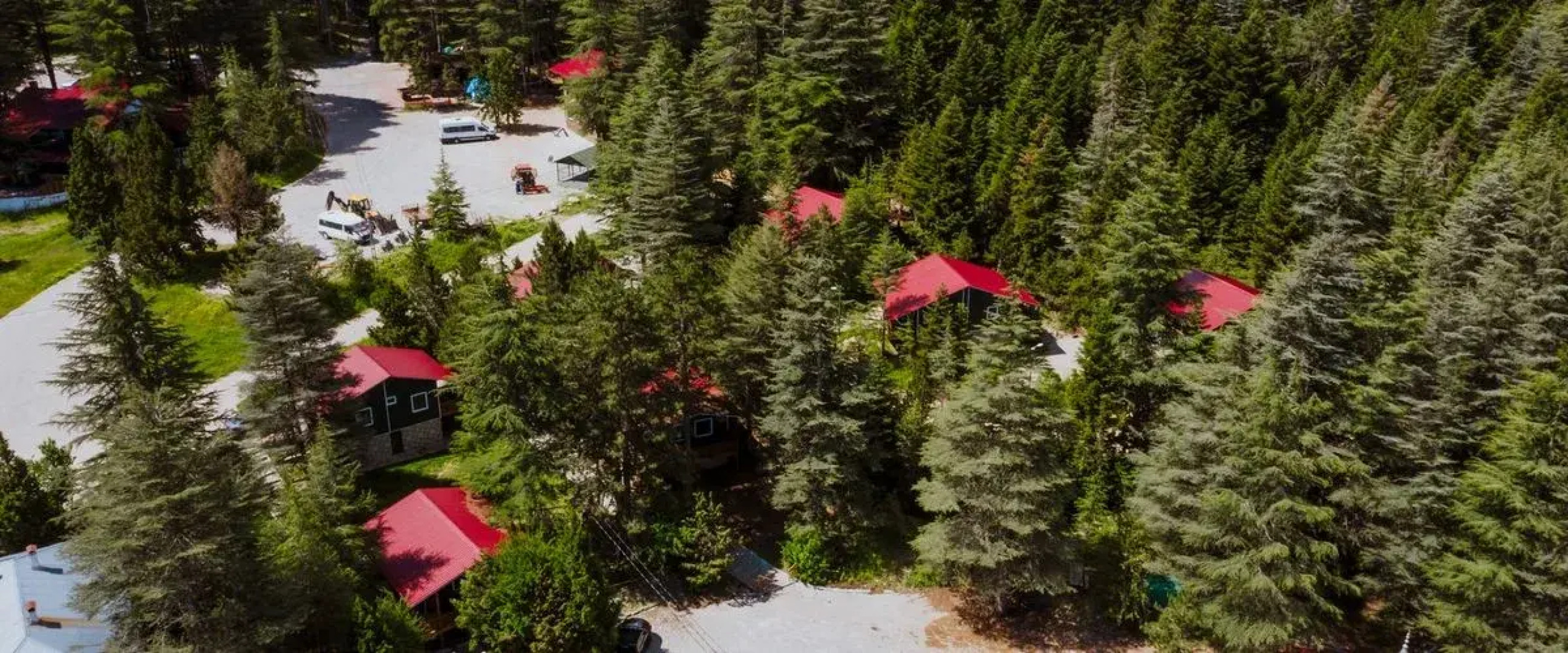 Başkonuş Yaylası Orman Evleri