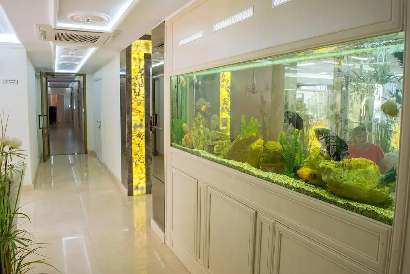 Harmony Suites 8 & 9