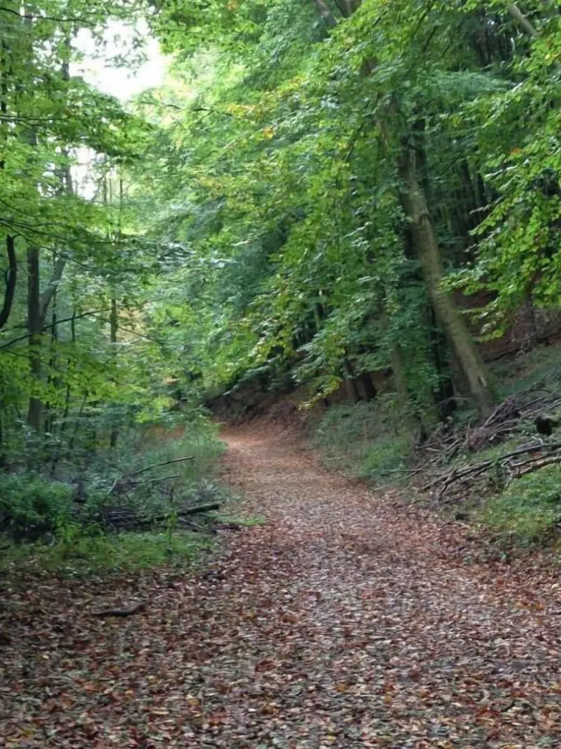 Waldhotel Porta Westfalica garni