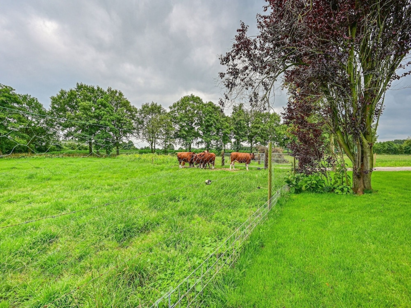 Farmhouse in De Heurne With Animal Farm