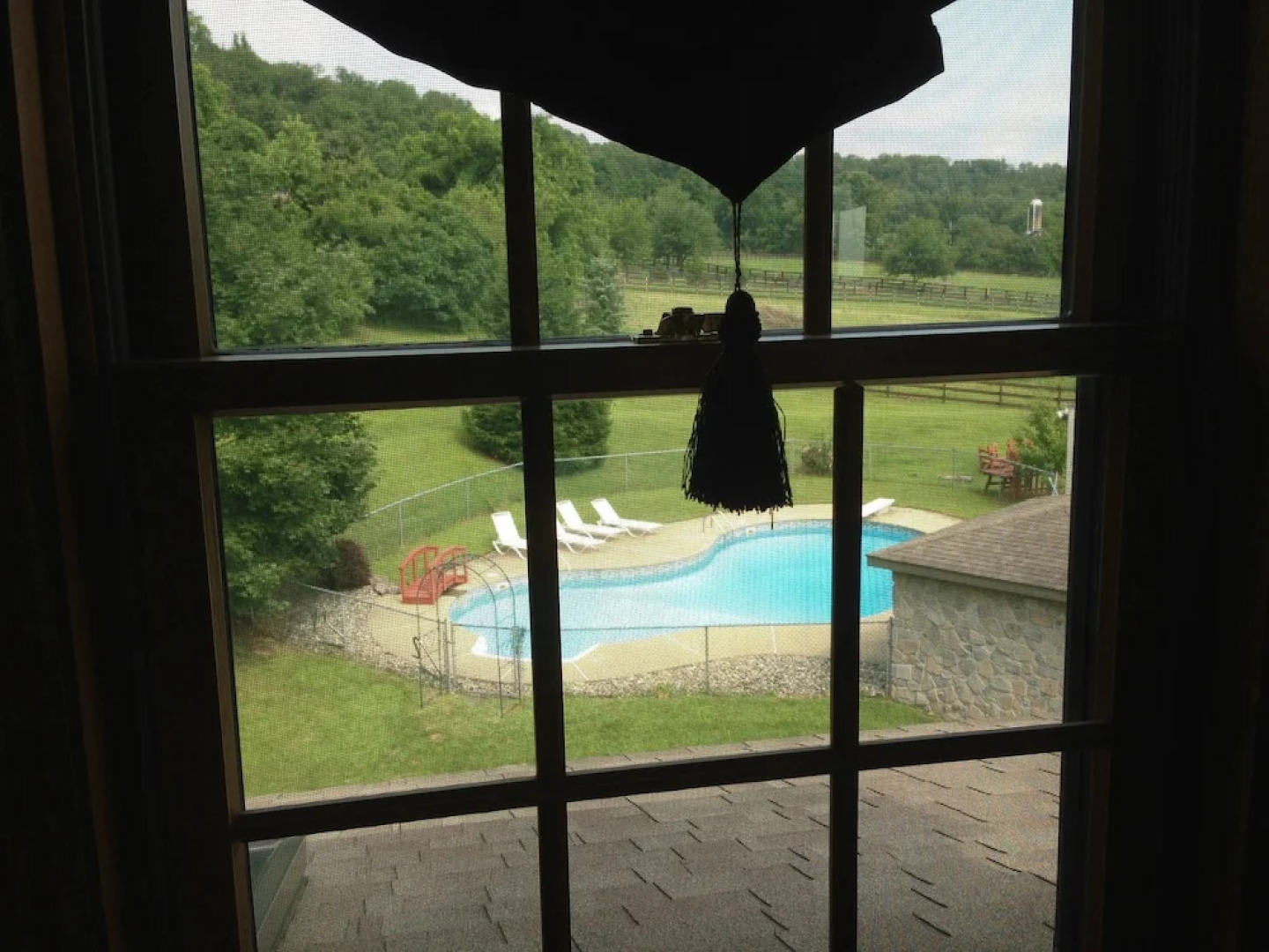 The Dragonfly Bed and Breakfast