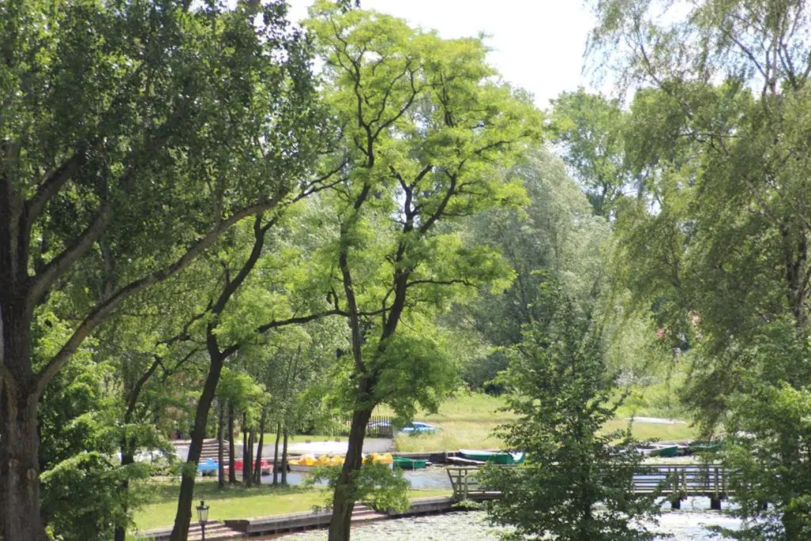 Bahia w Krainie Alicji