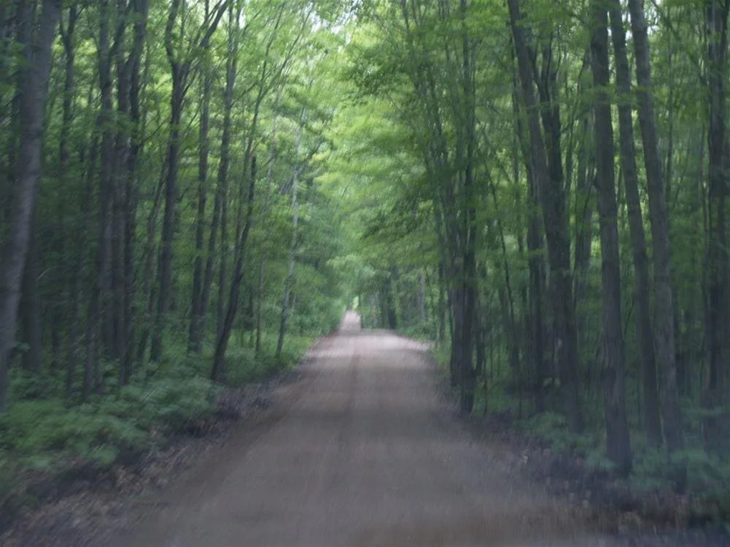 Auberge des Pins Rouges