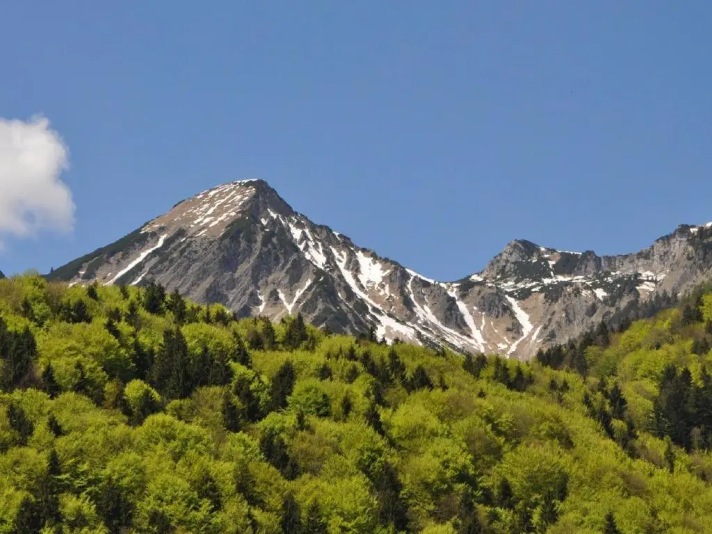 Ferienwohnung Andrea