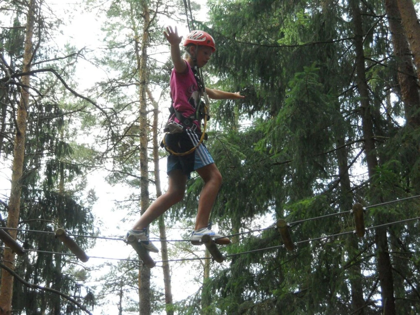 Beautiful Holiday Home in Litschau With Swimming Pool