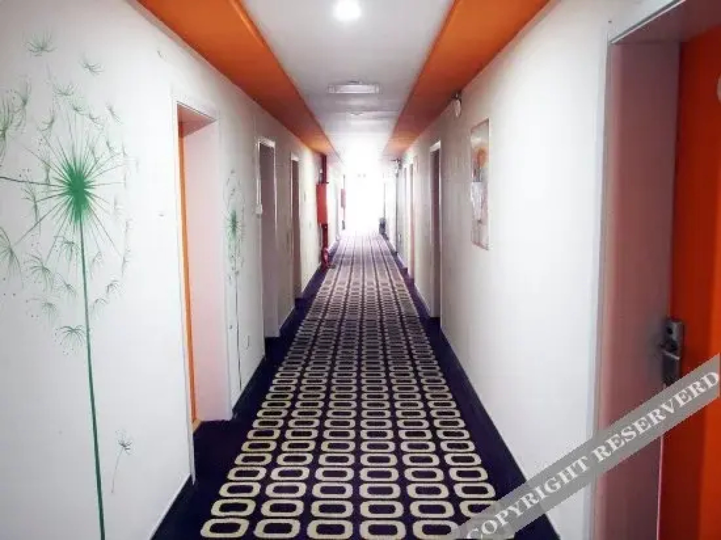 布丁酒店(廊坊师范学院西小区店)