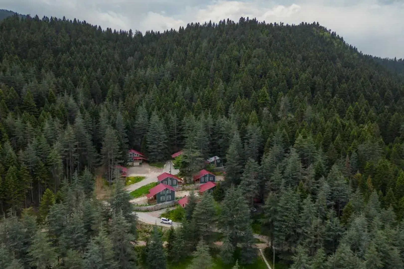 Baskonus Yaylasi Orman Evleri