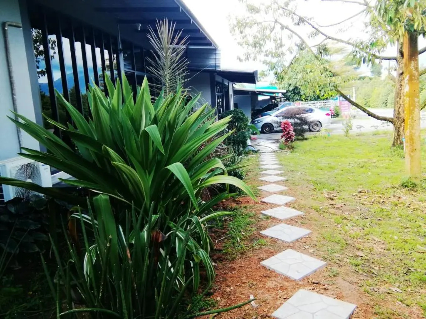 Wilderness Mountain View