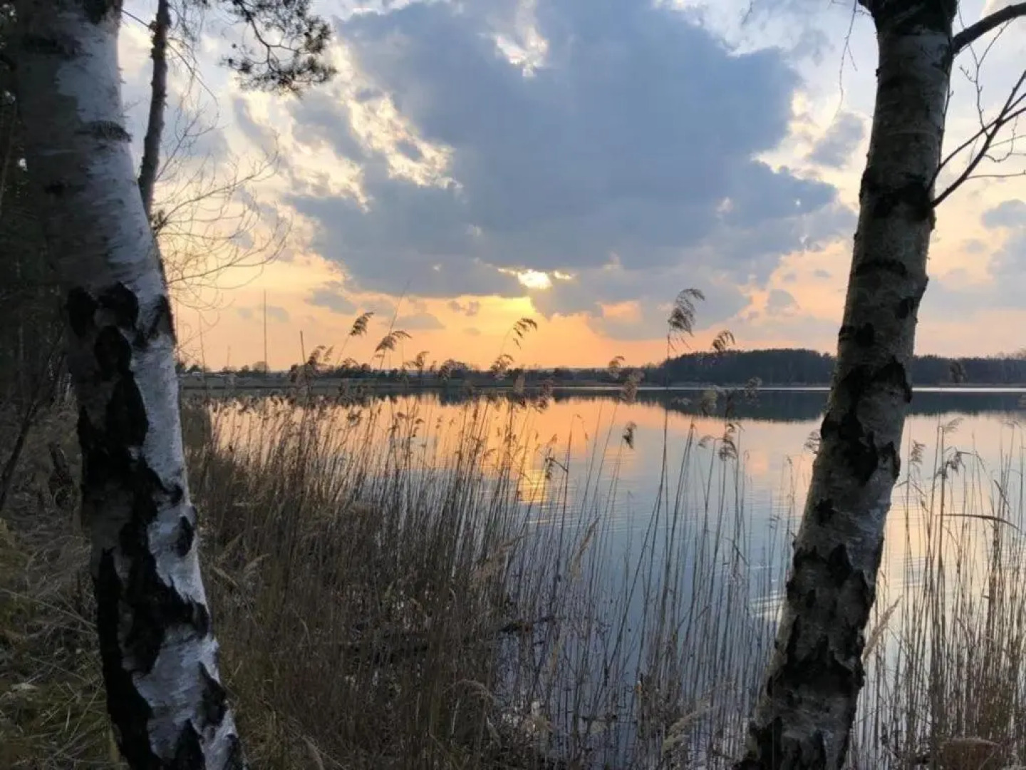 Apartment Tälerblick 2 -neu modernisiert-