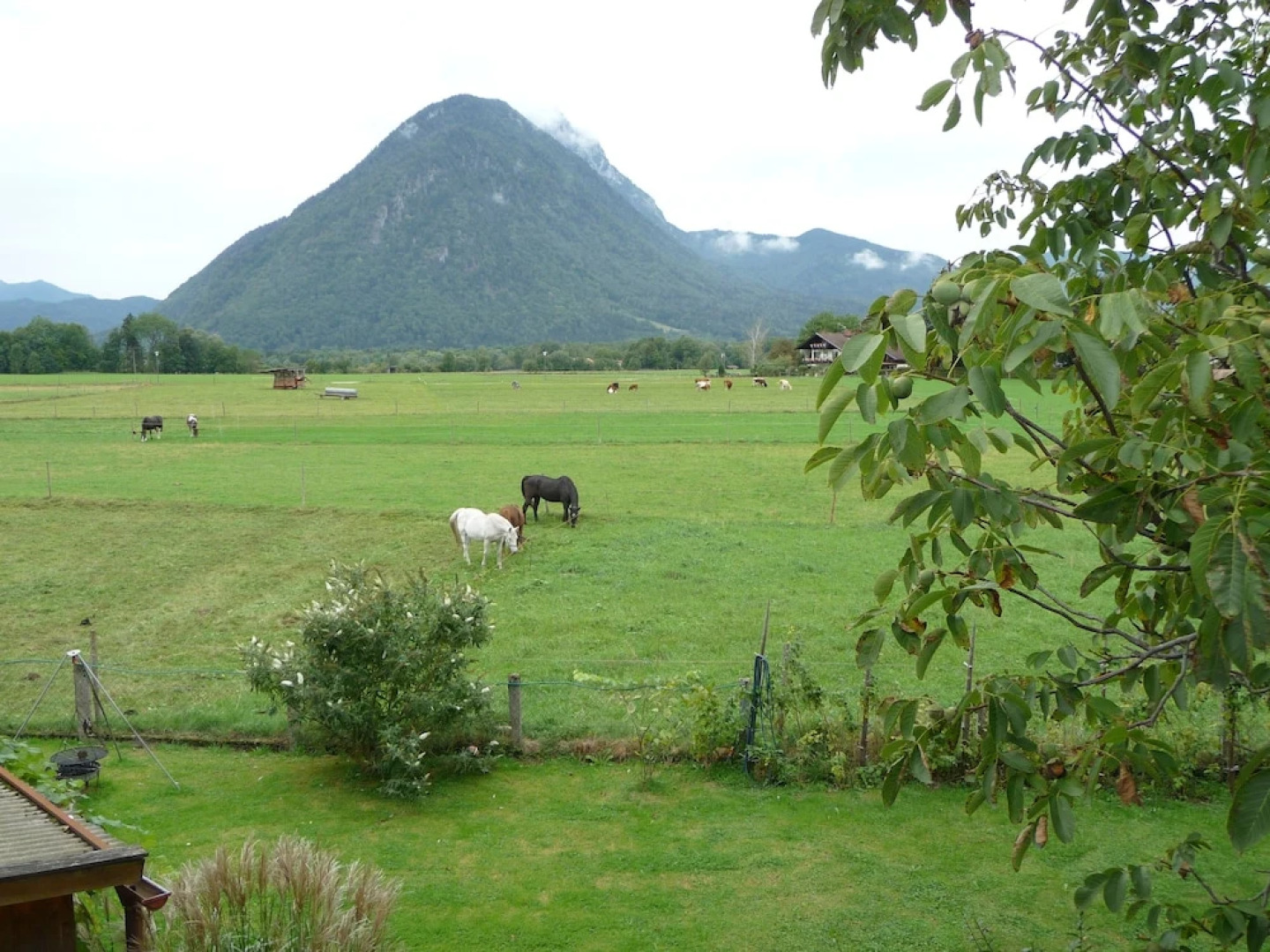 Ferienwohnung Schlossberghof Marzoll
