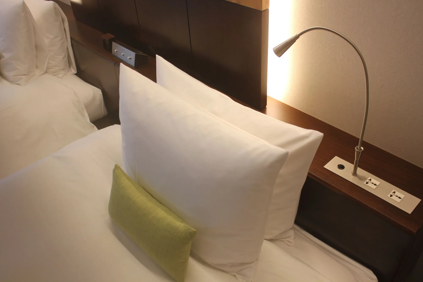 Hotel Ryumeikan Ochanomizu Honten