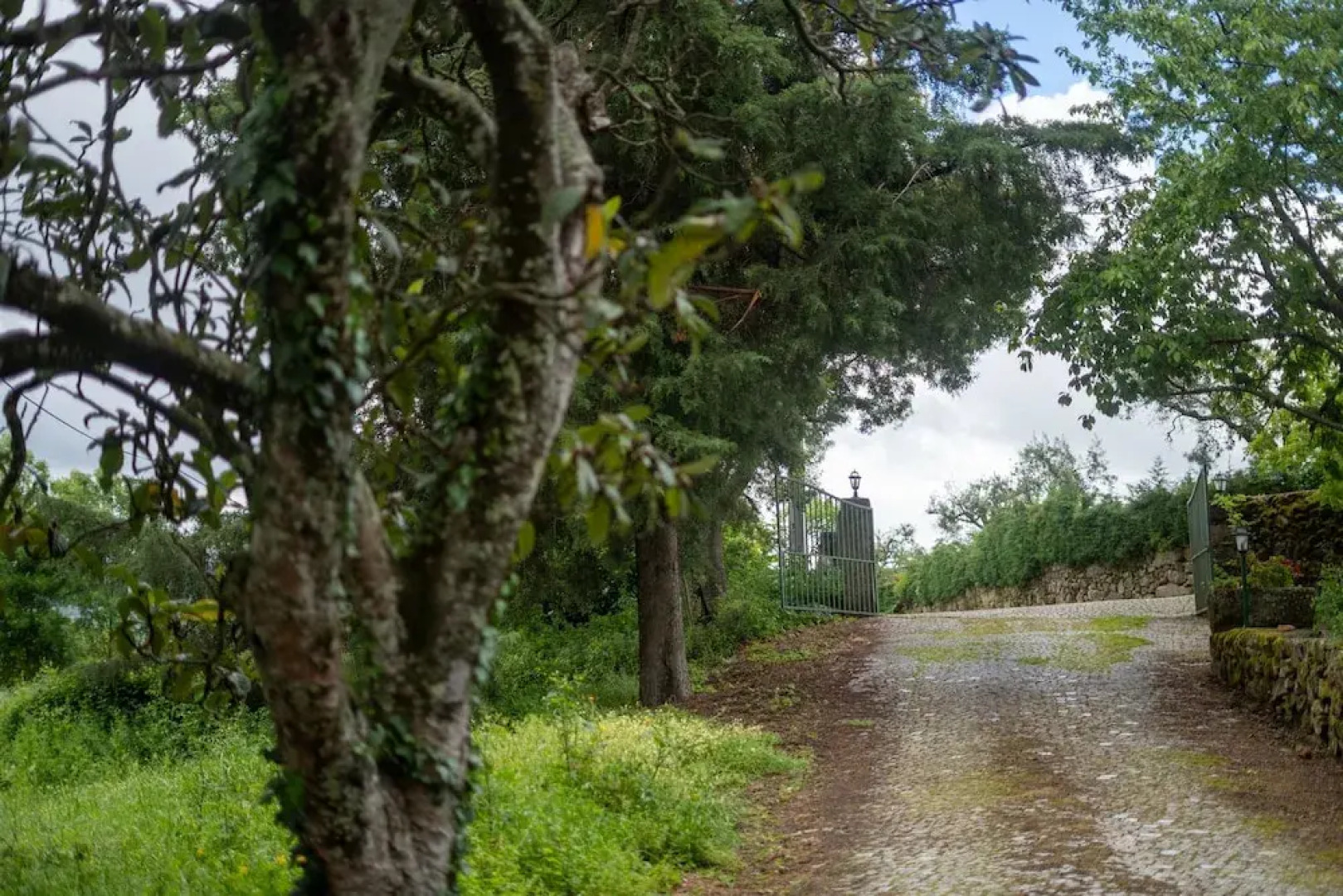 Rustic Terrace2 Bedrooms Farm House