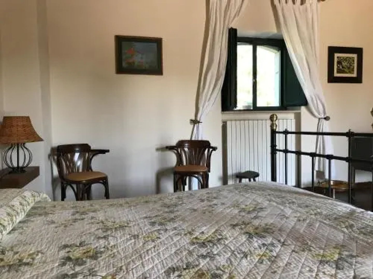 Carrera Della Regina