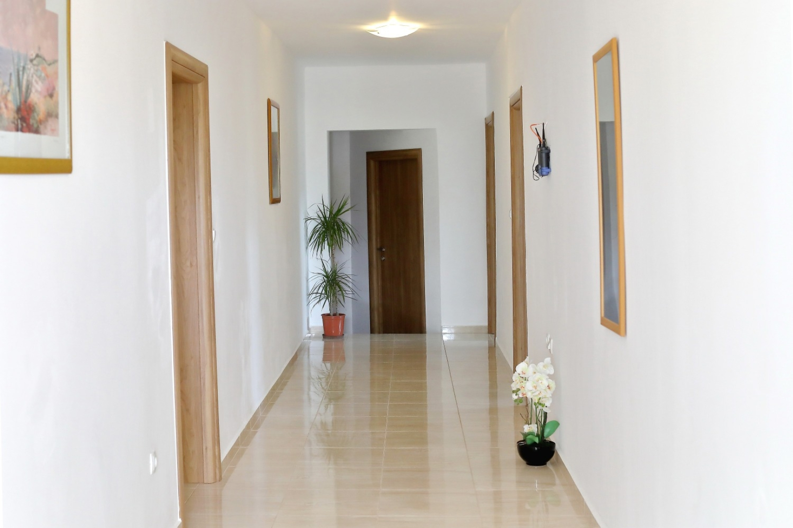 Room Aleksandra - 10 m from sea: R7 Bibinje, Zadar riviera