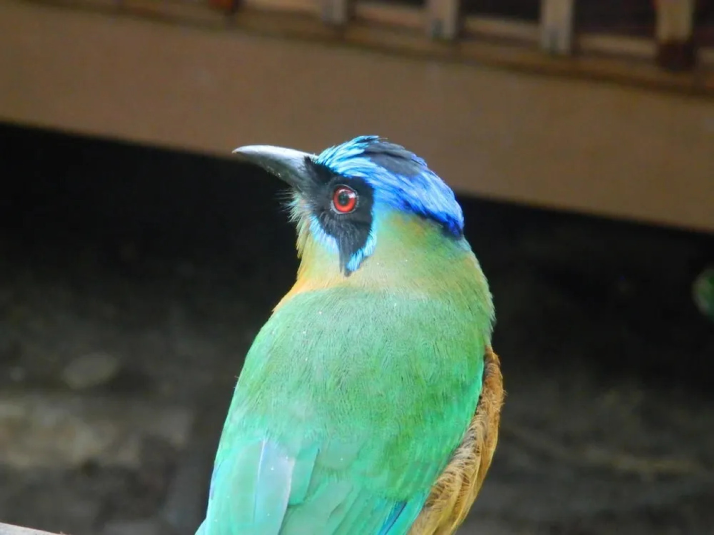 Beloalter Hotel Casa do Saulo