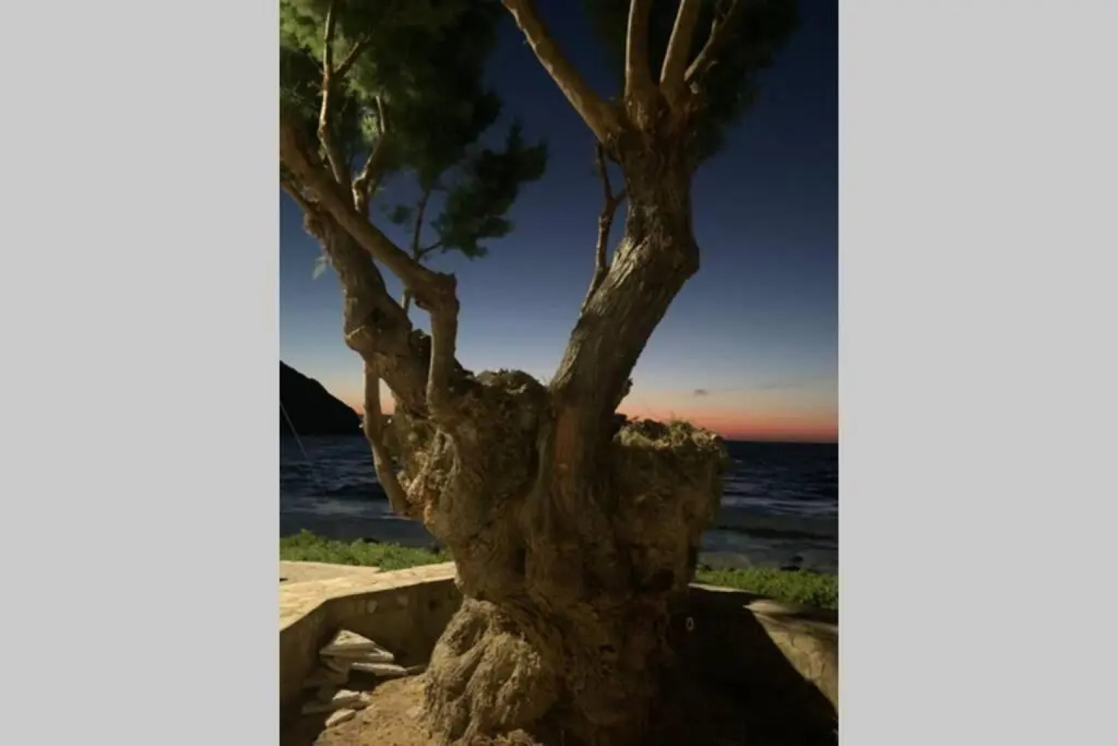 Romantic House 6 Steps From The Sea