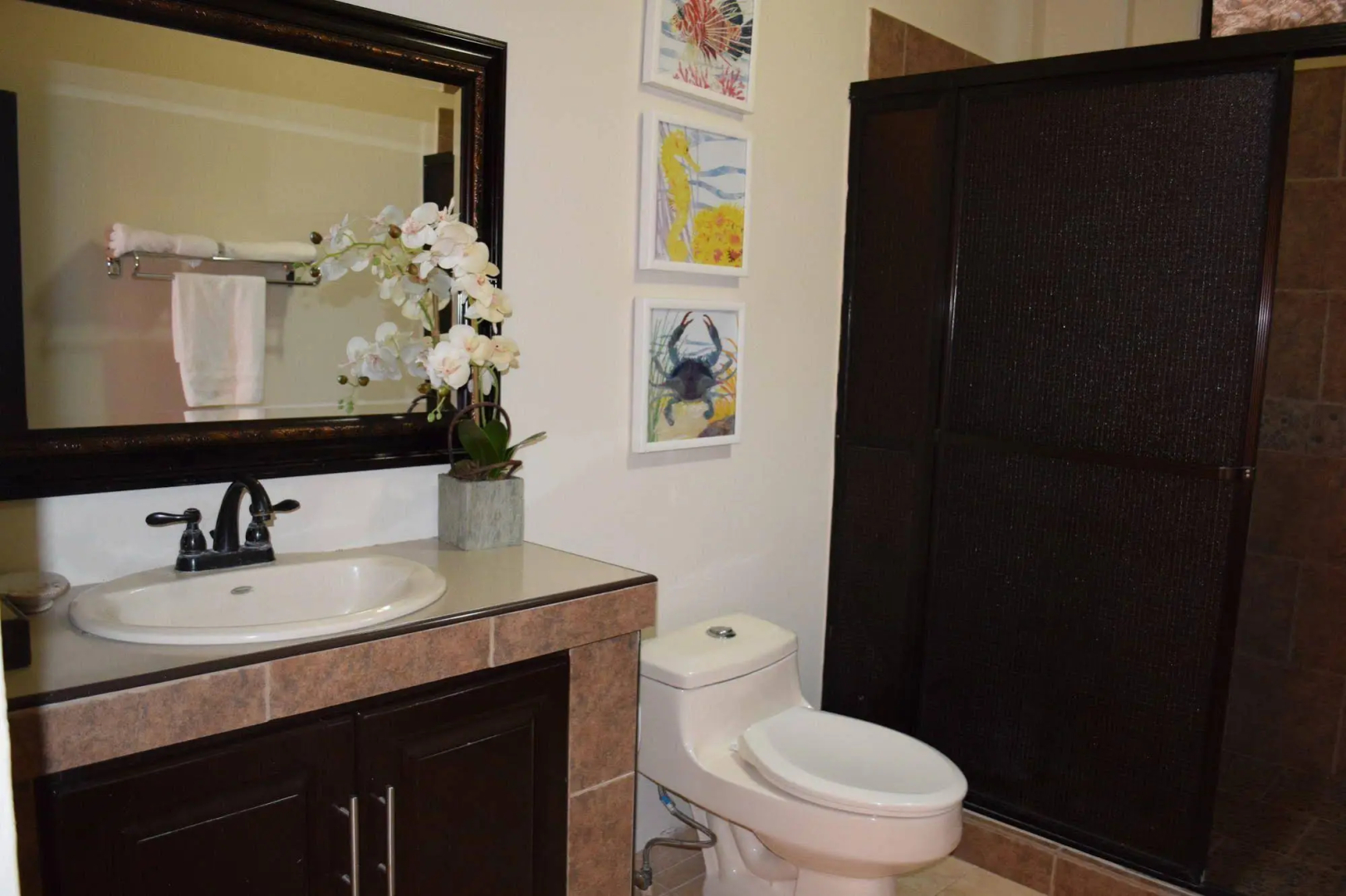 Vista Las Olas Surf Resort