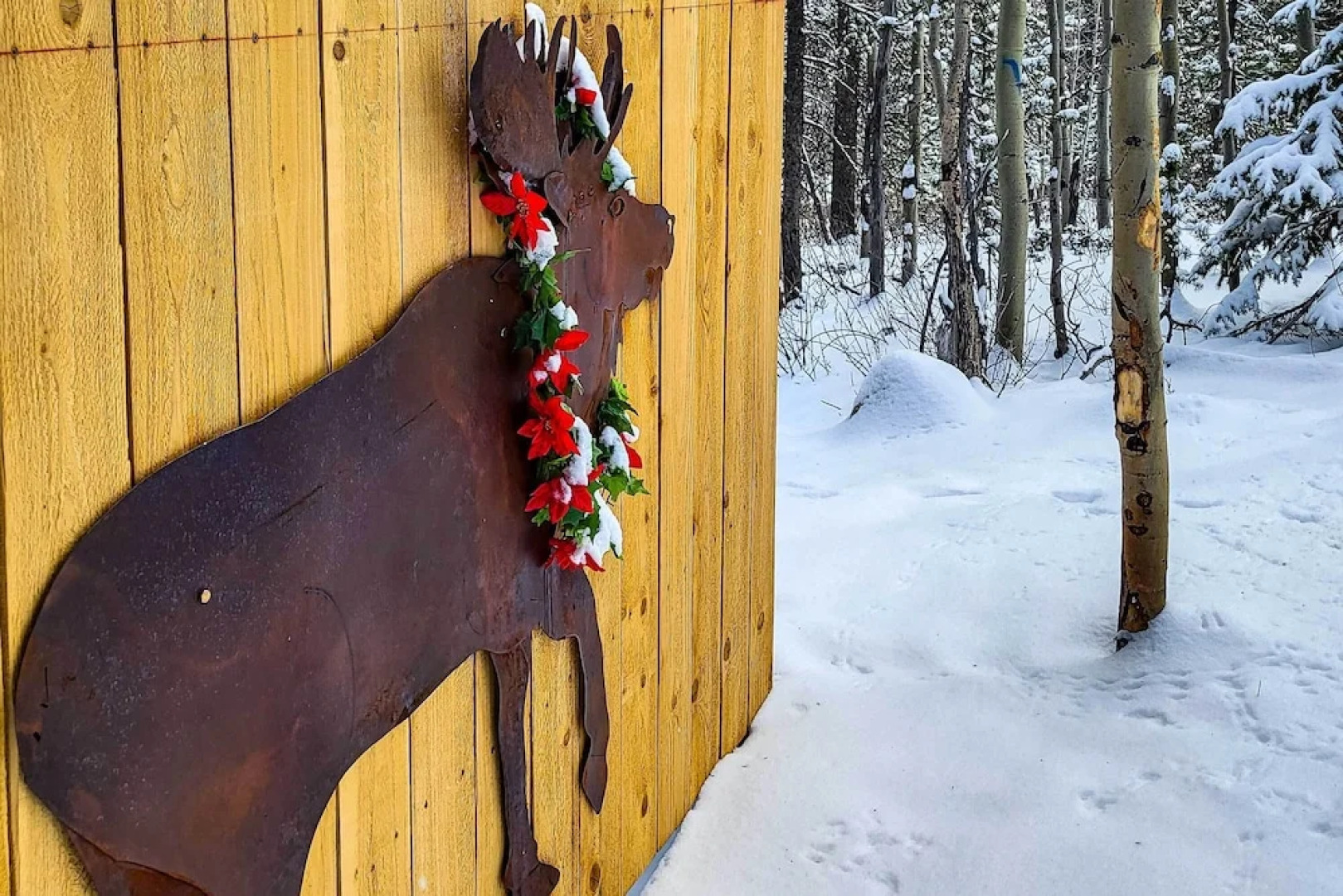 Rocky Mountain Alma Cabin With Deck & Hot Tub!