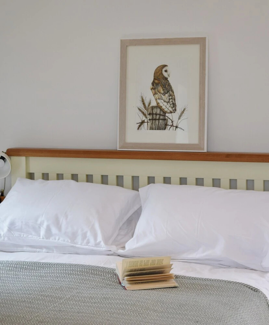 The Sanctuary Cornwall