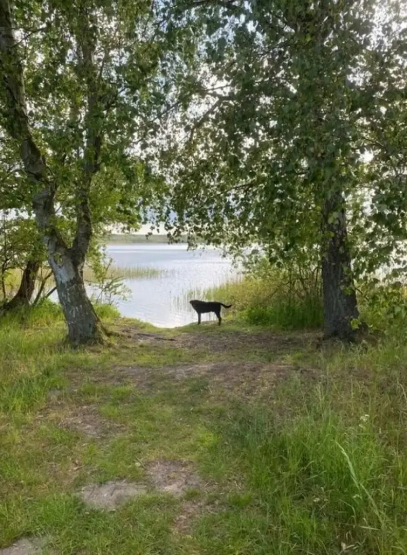 The Fischerhaus on Lake Malkwitzer See