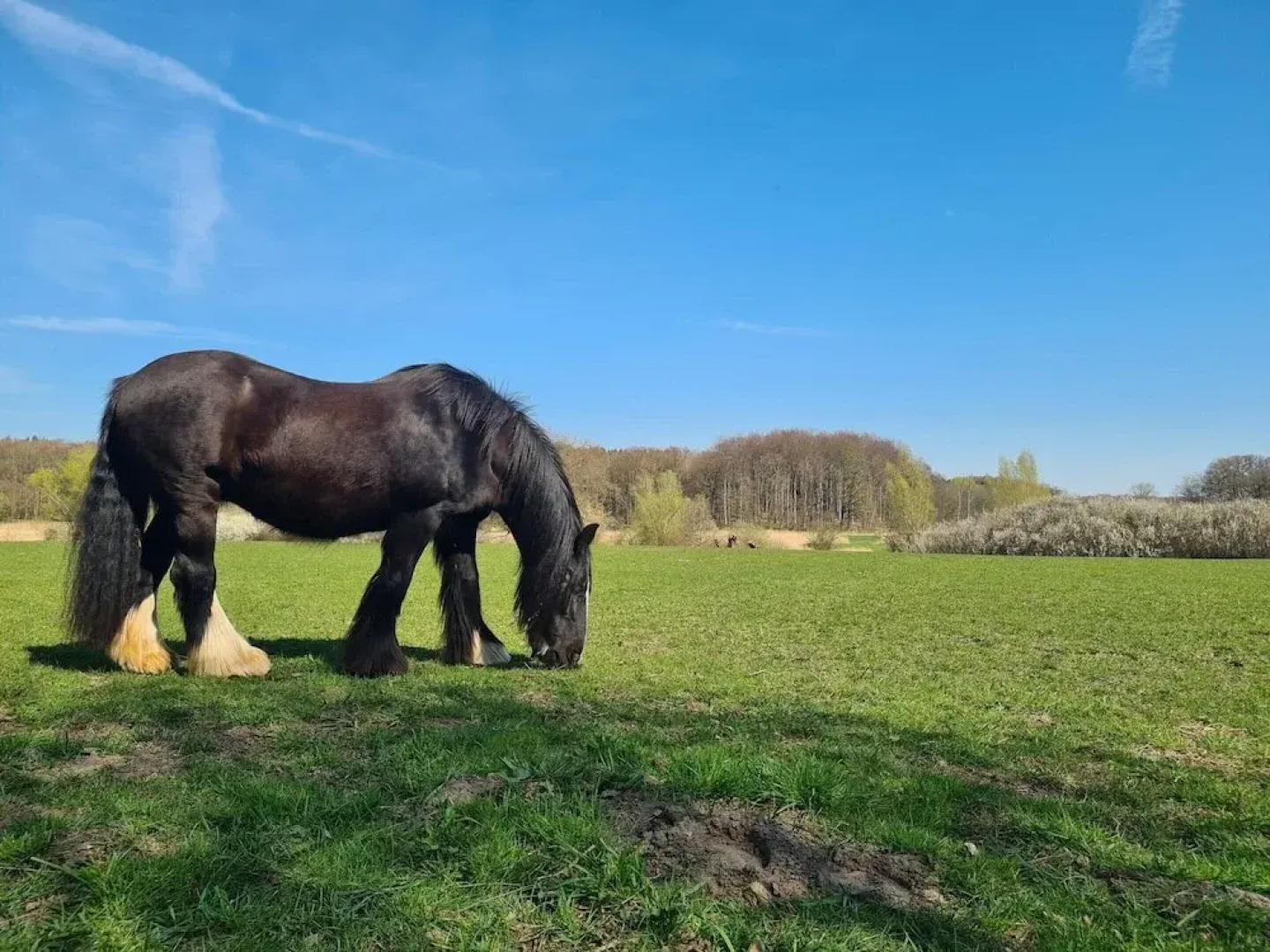 Retreat With Garden & Family Amenities