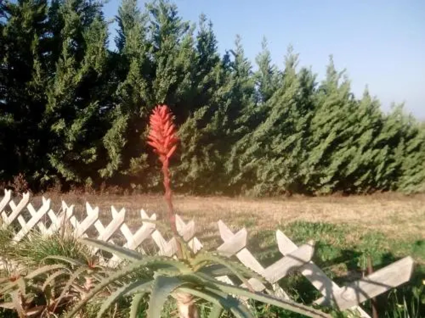 Sea View Suite Methana