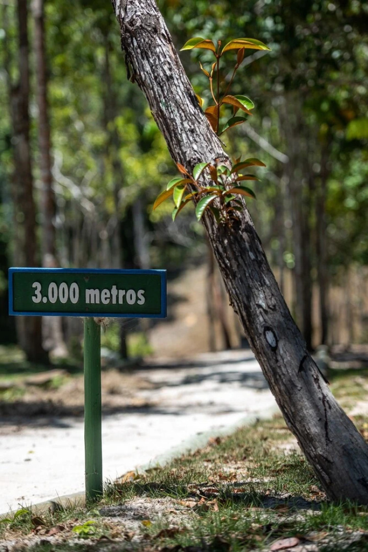 Sossego e Tranquilidade Vila do Outeiro