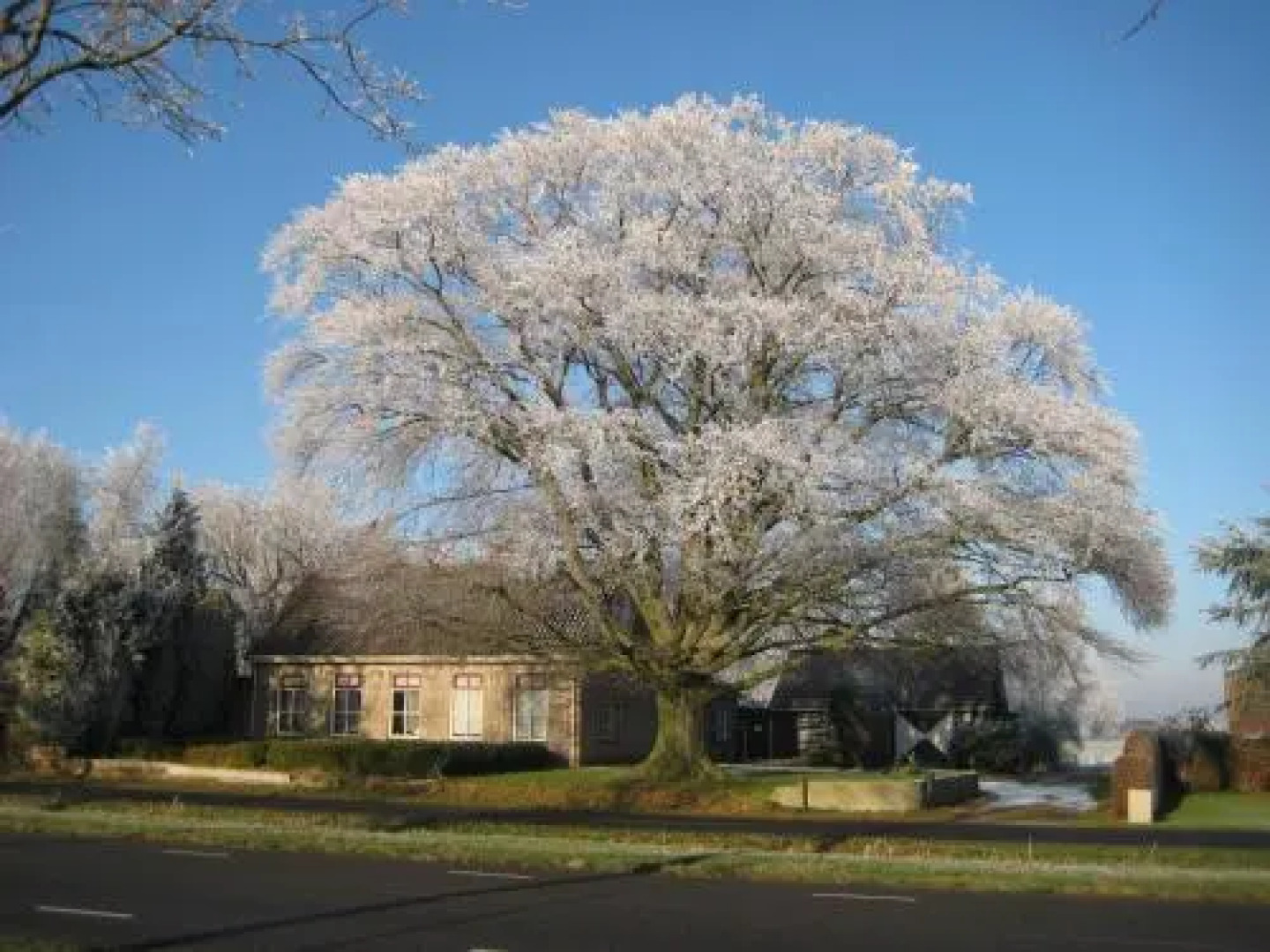 B&B Huize de Rode Beuk