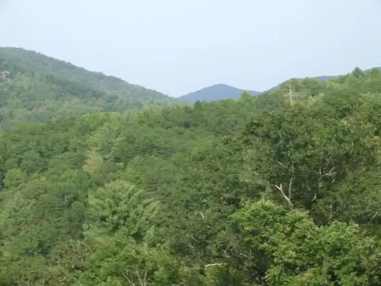 Crockett Trails Nevaeh Cabin Rentals