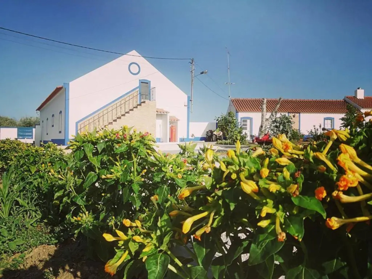 Quinta das Palmeiras