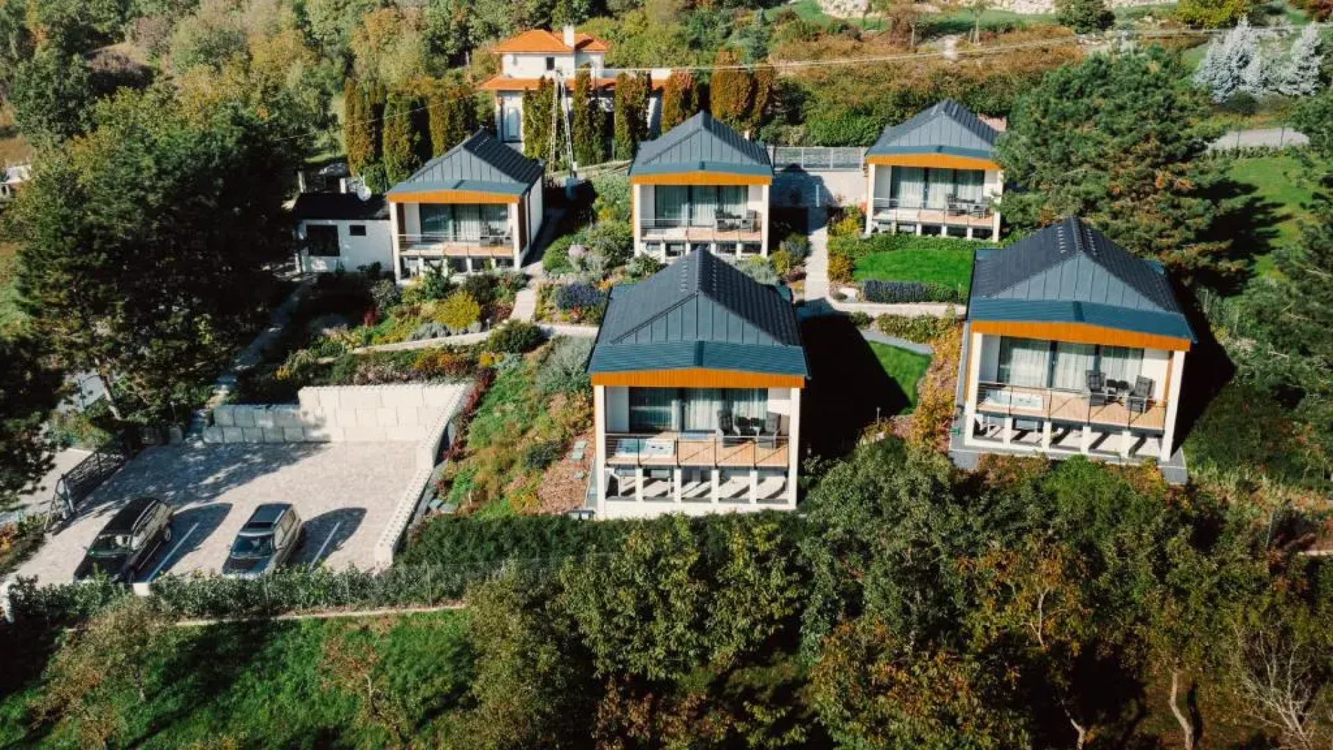 Cserszegi Kockak (Adults Only)