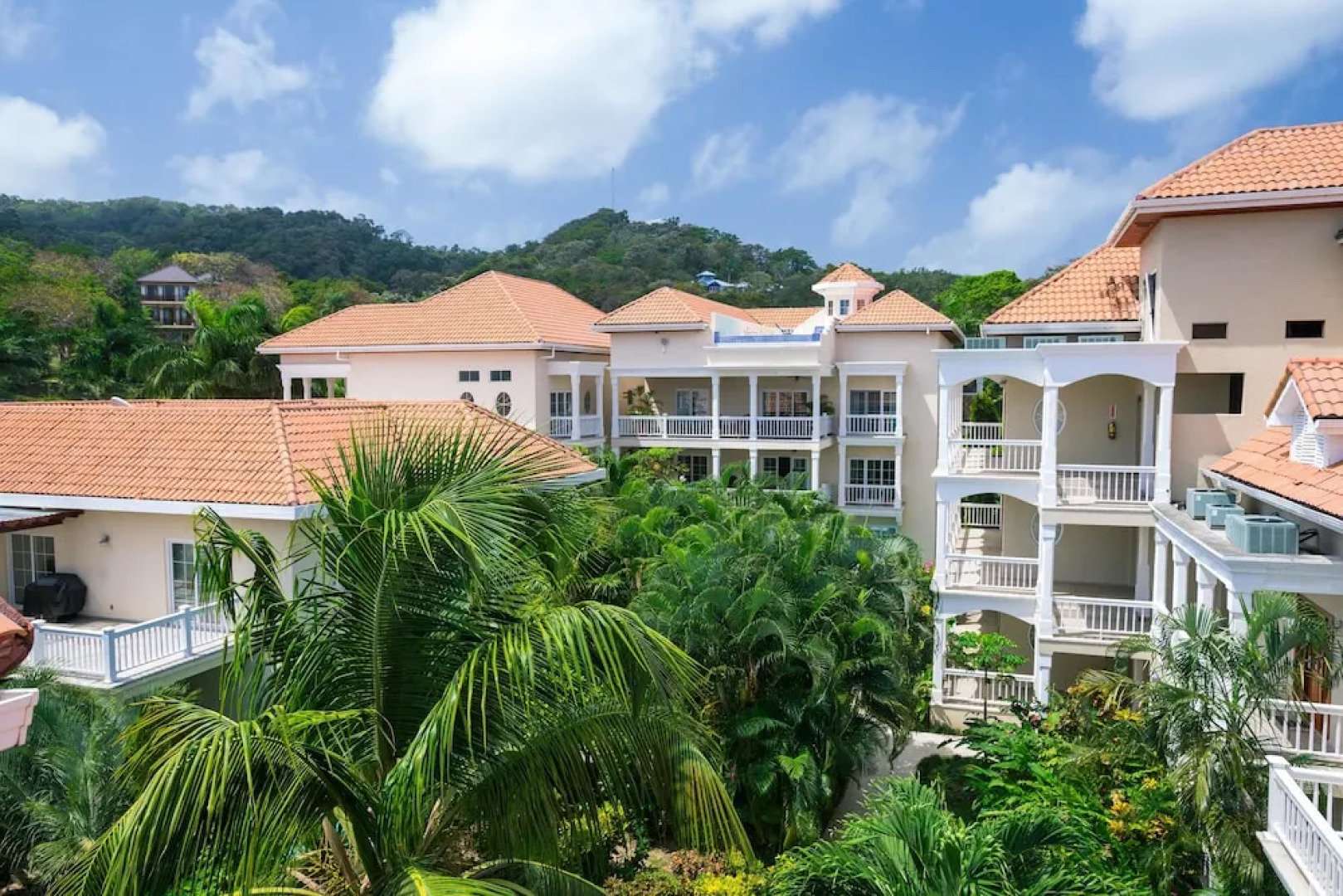 Lawson Rock Lionfish 208