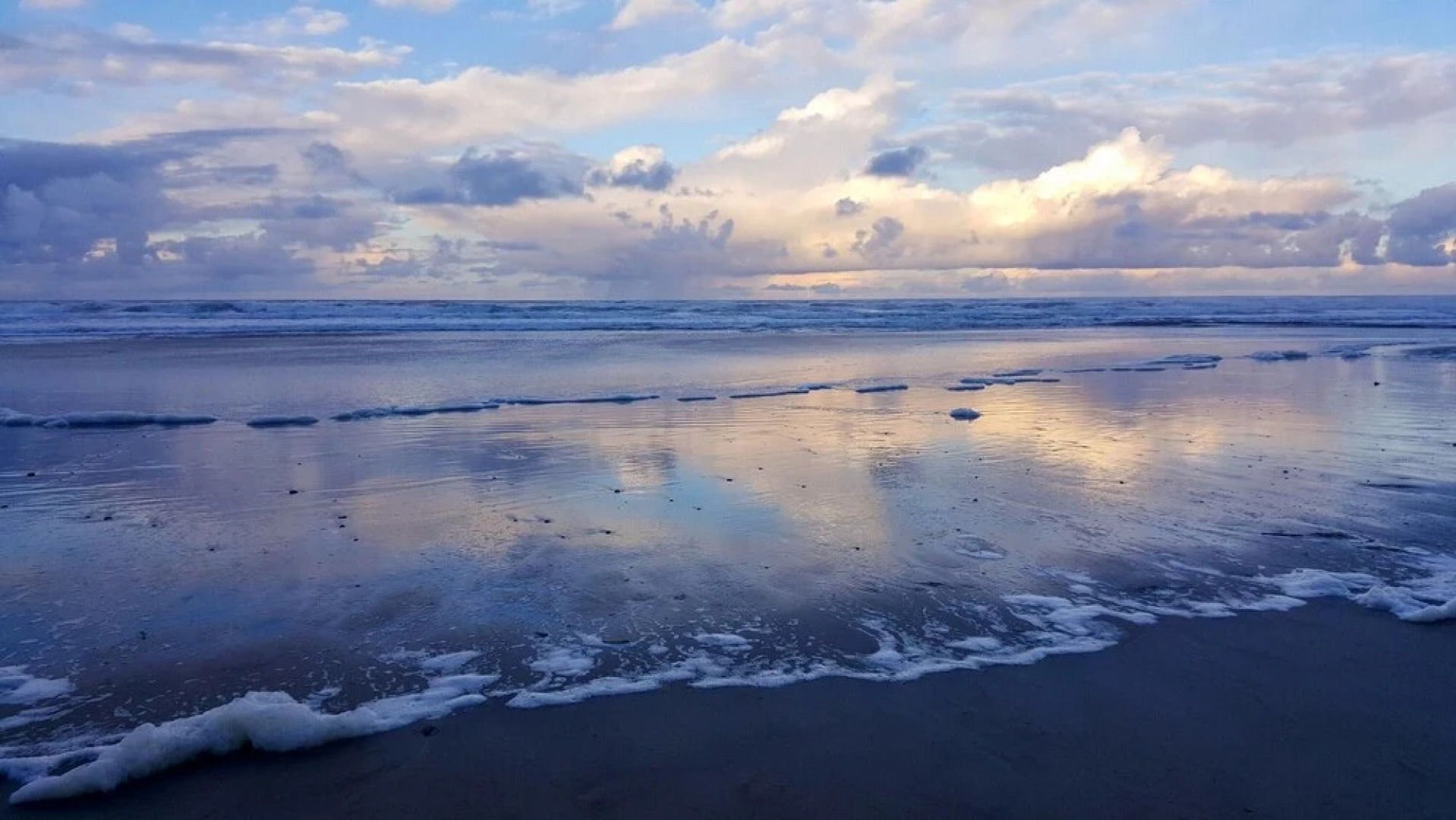 Sandpiper Cottage - Waldport