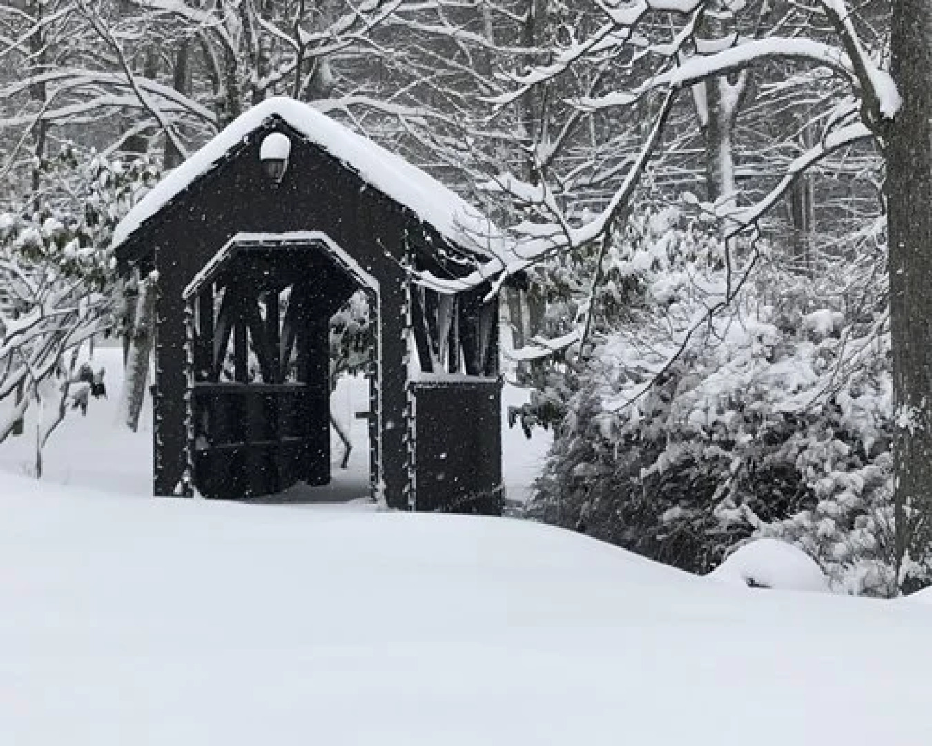 Westwood Villas, Lake Harmony, USA