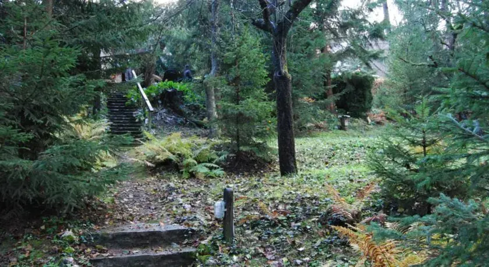 Boróka Apartmanházak - Öregház