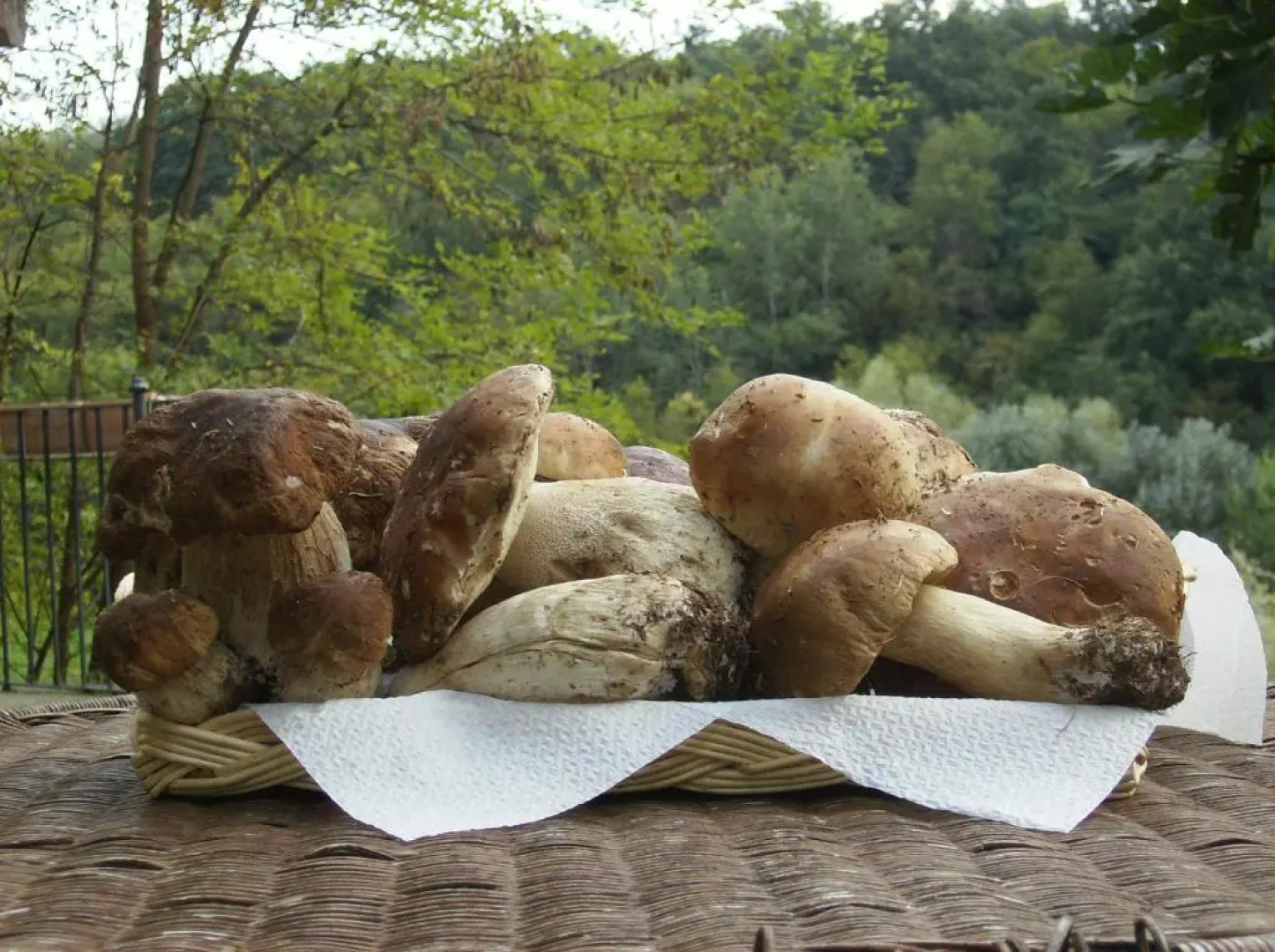 Agriturismo Casa Garello