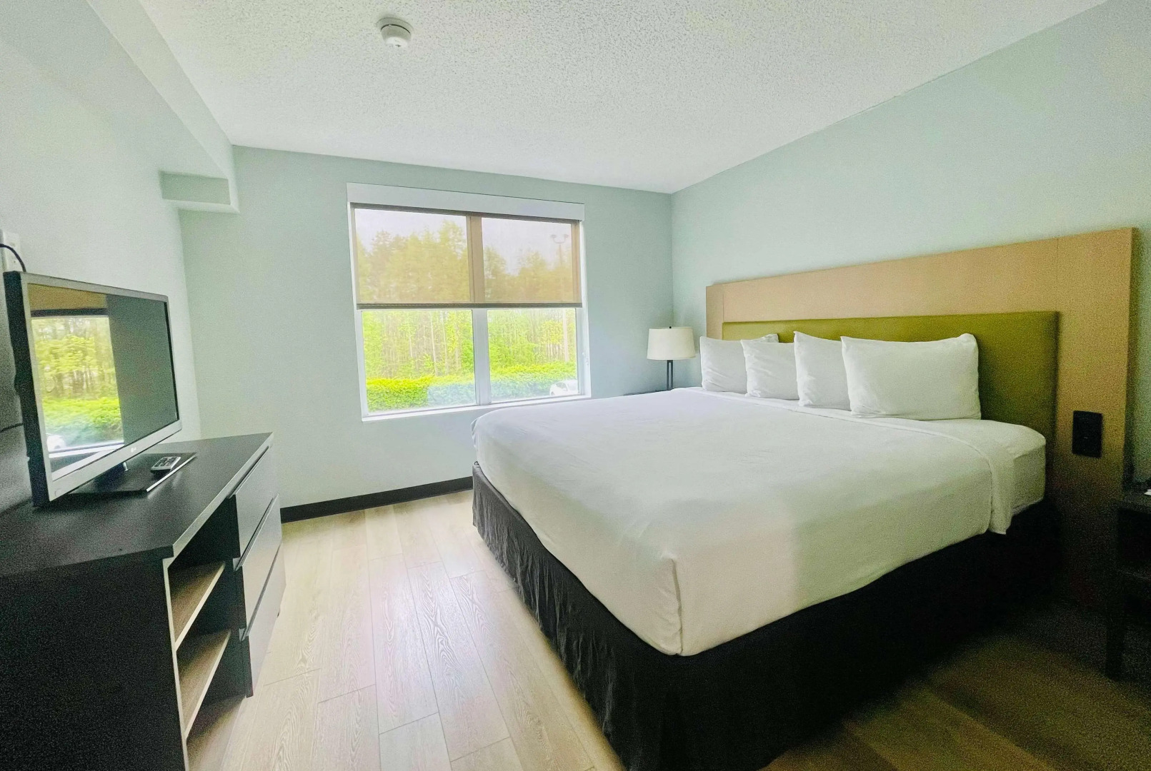 Wingate by Wyndham Matthews/Charlotte