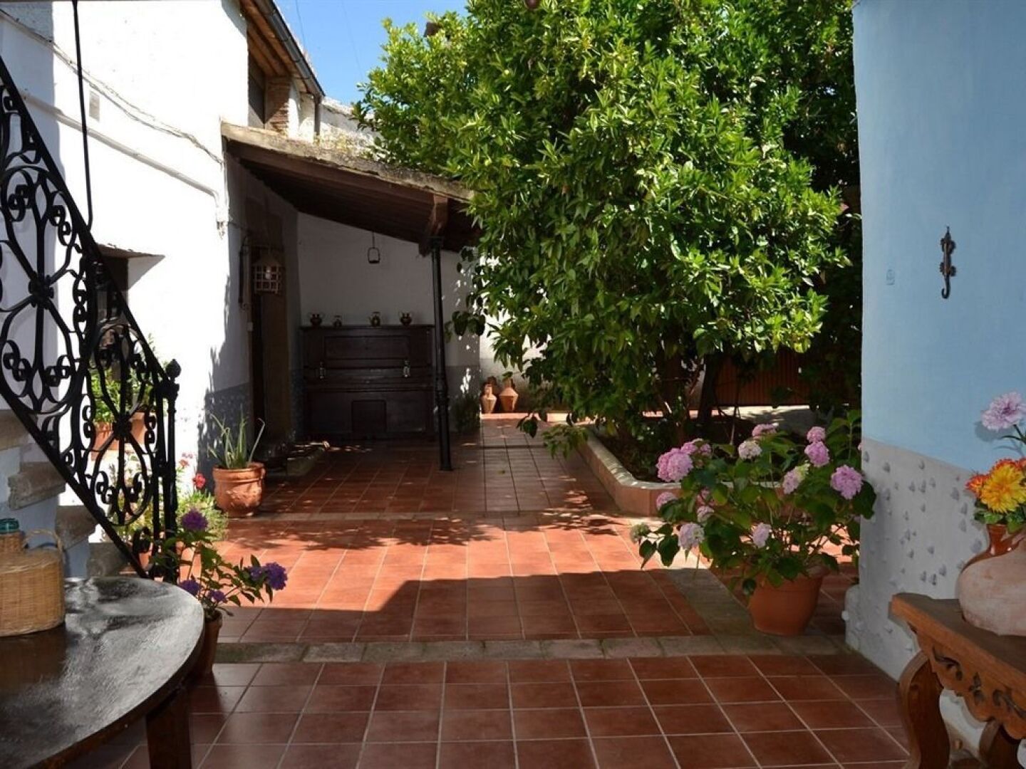 El Escudo de Calatrava