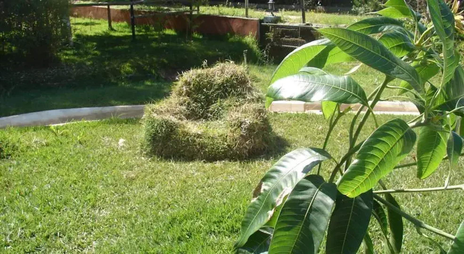 Hotel Cortijo Las Malvasias