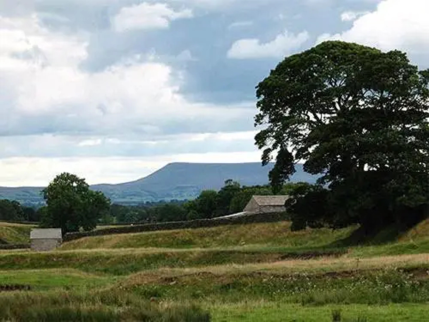 Rose Cottage Bed & Breakfast