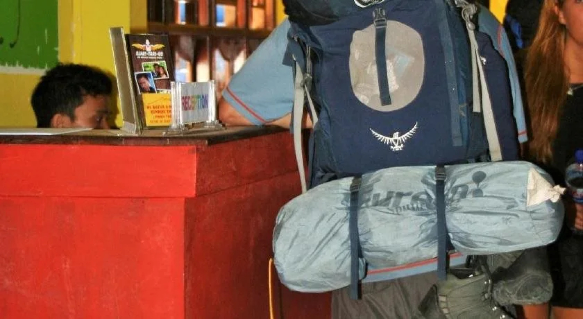 The Happy Mango Tree