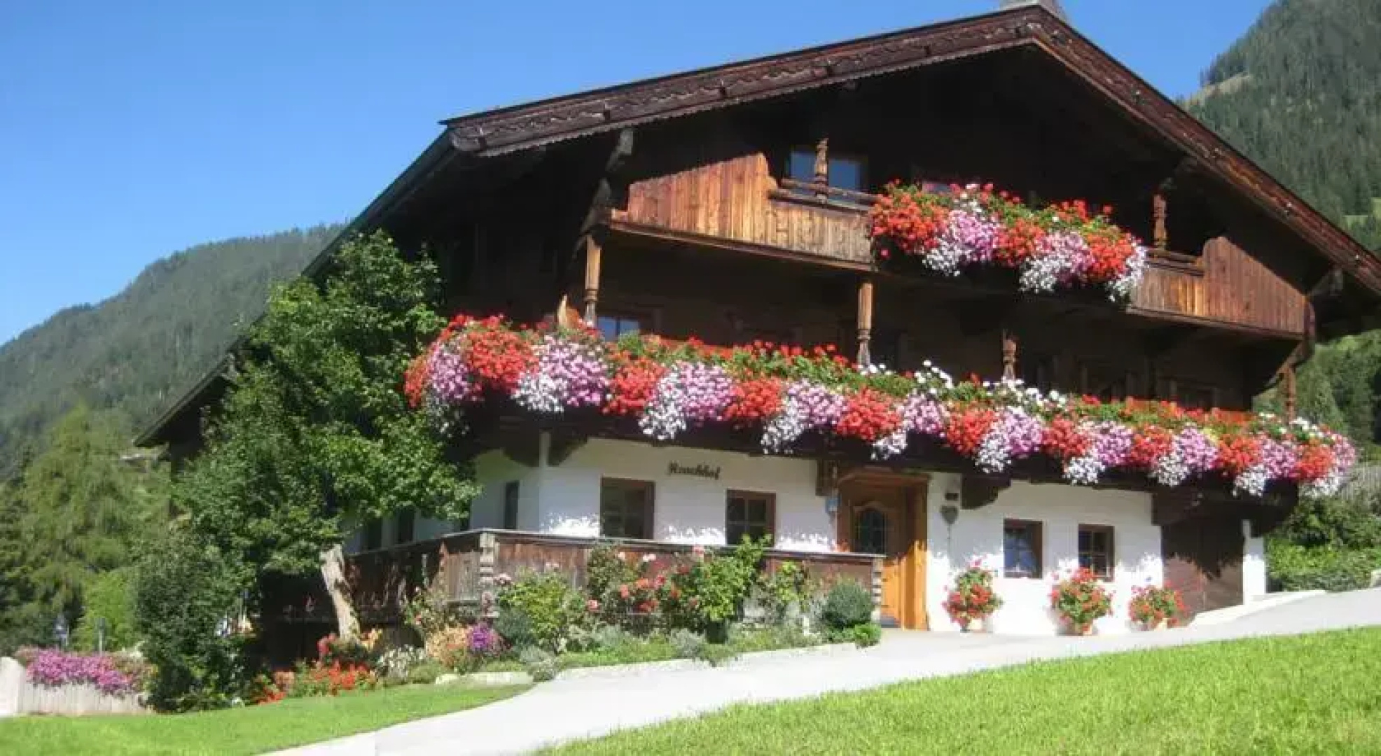 Heachhof